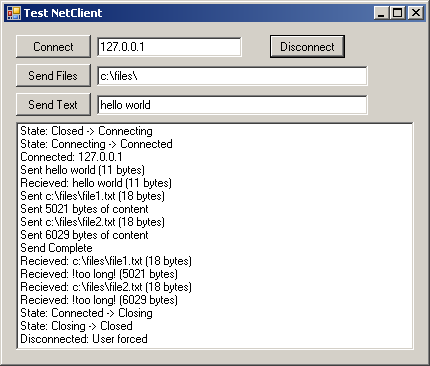 NetSocket Demo Client