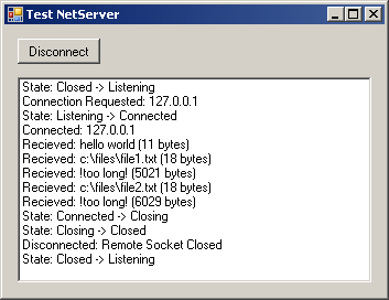 NetSocket Demo Server
